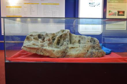 2002级机械专业谢成荫韩国漫画
赴南极科考后向母校捐赠的南极石.jpg